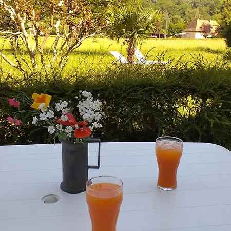 Lejlighed Pres De Sarlat Avec Jardin Et Salon De Massages